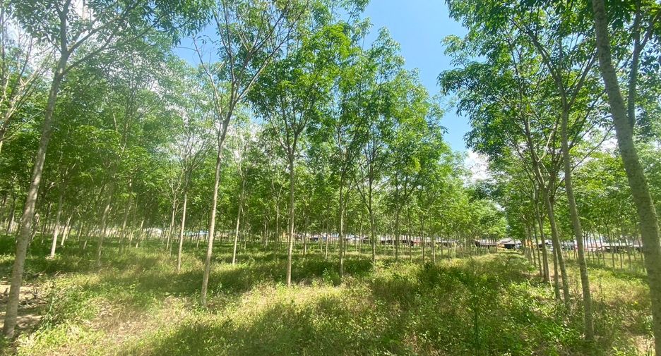 Terreno en venta en Thalang, Phuket