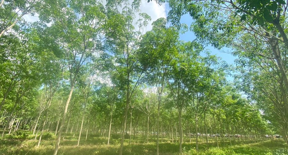 Terreno en venta en Thalang, Phuket