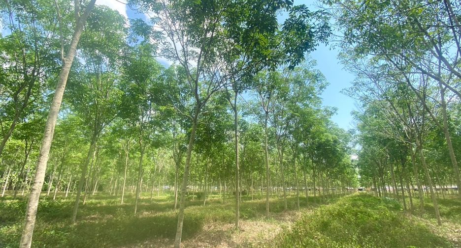 Terreno en venta en Thalang, Phuket