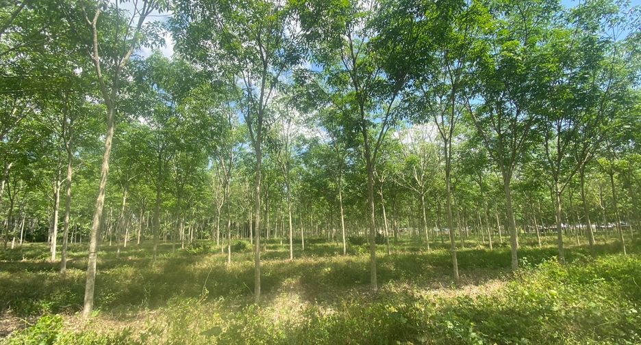 Terreno en venta en Thalang, Phuket