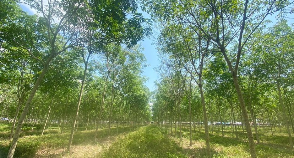 Terreno en venta en Thalang, Phuket