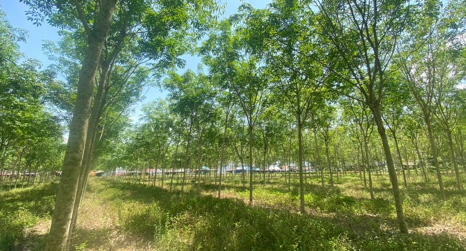 Terreno en venta en Thalang, Phuket
