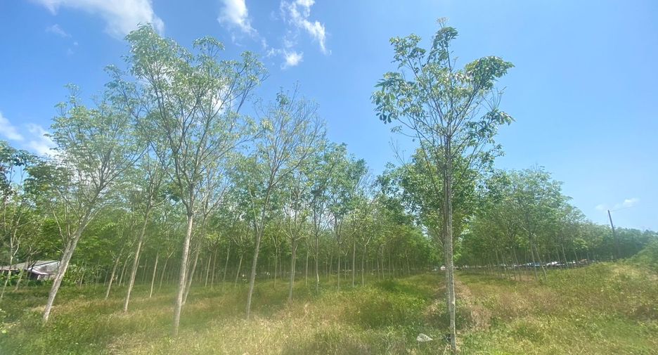 Terreno en venta en Thalang, Phuket