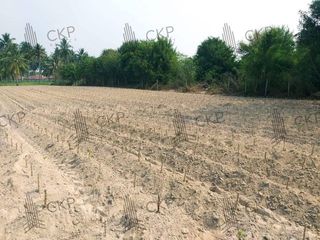 ขาย ที่ดิน ใน บ้านฉาง, ระยอง