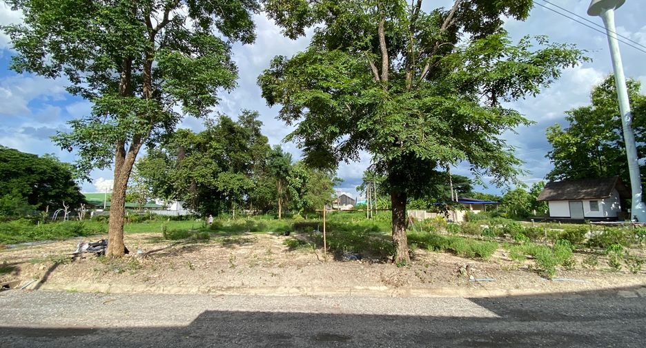 For rent 4 bedrooms house in Hang Dong, Chiang Mai
