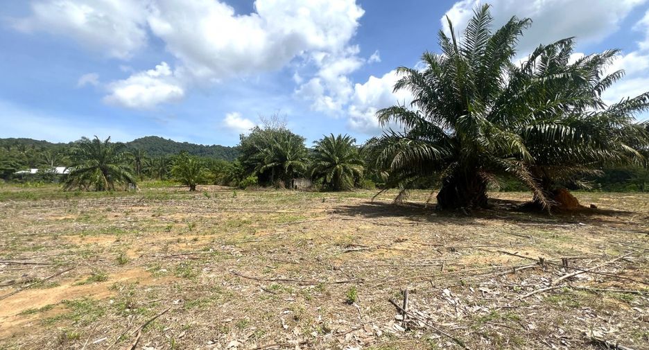 For sale land in Mueang Krabi, Krabi