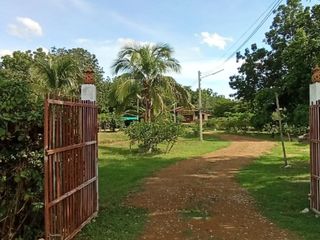 For sale studio land in Nong Mamong, Chainat