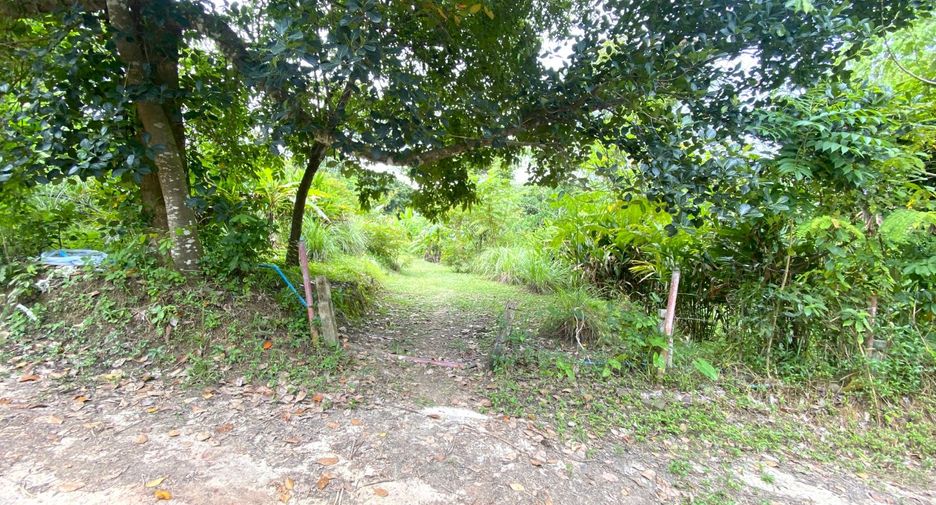 Grundstück zum Kauf in Mueang Phuket, Phuket
