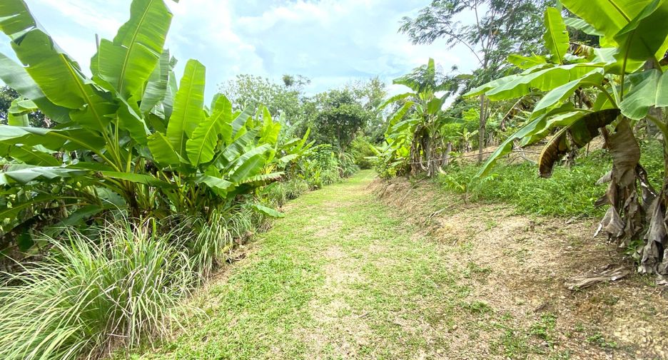Grundstück zum Kauf in Mueang Phuket, Phuket