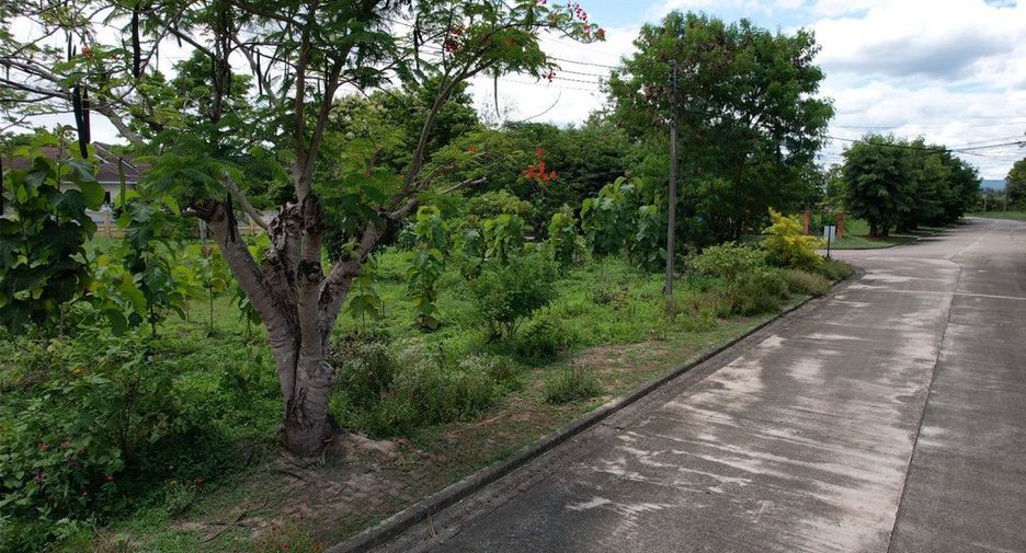 For sale land in Mae Rim, Chiang Mai