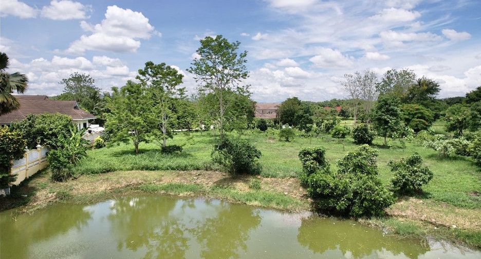 For sale land in Mae Rim, Chiang Mai