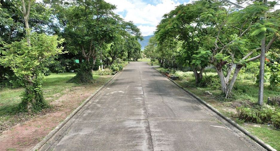 For sale land in Mae Rim, Chiang Mai