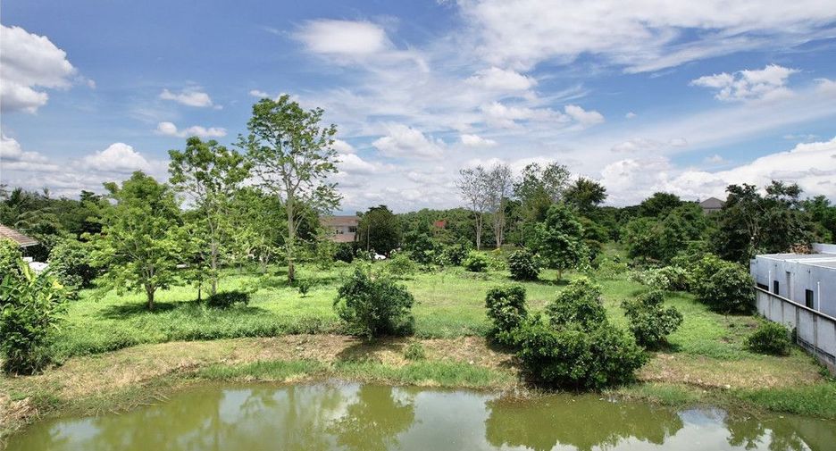 For sale land in Mae Rim, Chiang Mai