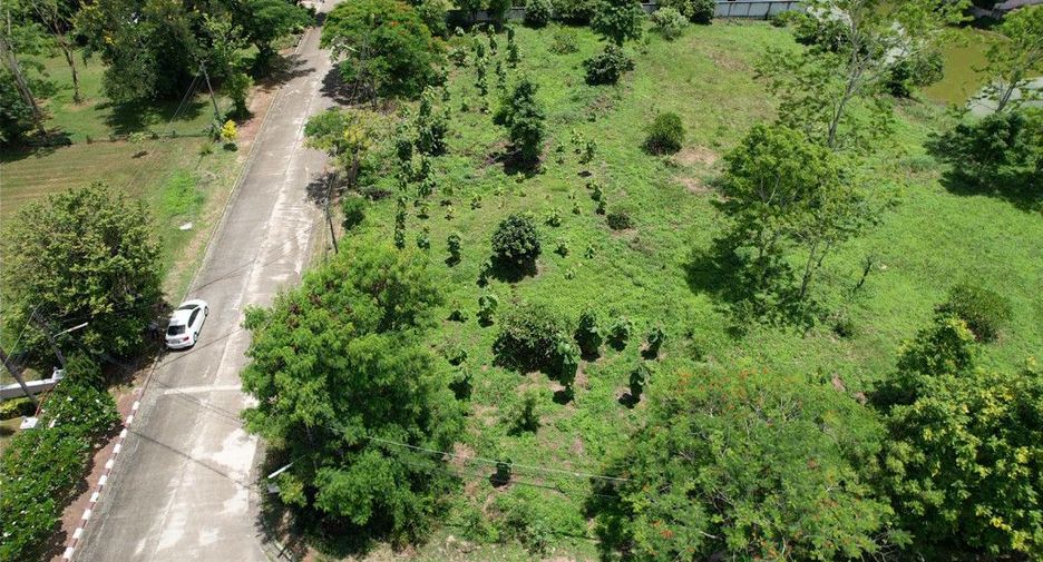 For sale land in Mae Rim, Chiang Mai