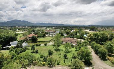 For sale land in Mae Rim, Chiang Mai