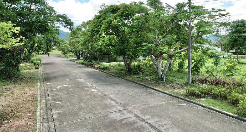 For sale land in Mae Rim, Chiang Mai
