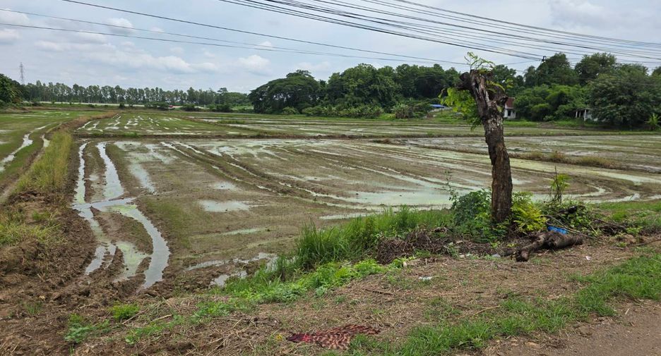 出售 土地 在 Mueang Uttaradit, Uttaradit