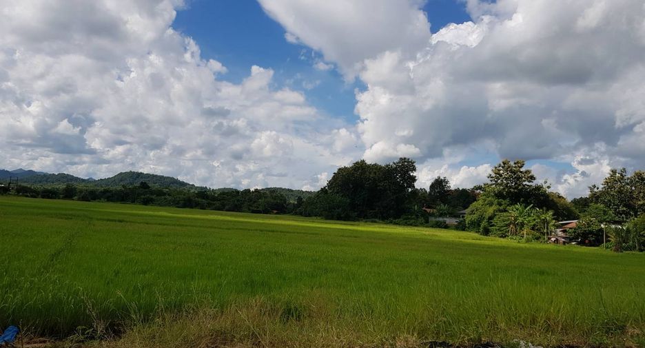 出售 土地 在 Mueang Uttaradit, Uttaradit