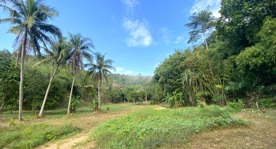 For sale land in Thalang, Phuket