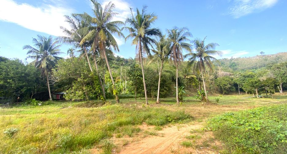 For sale land in Thalang, Phuket