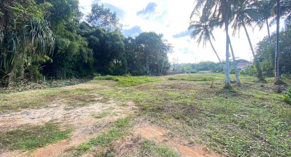 For sale land in Thalang, Phuket