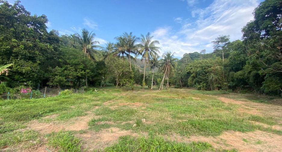 For sale land in Thalang, Phuket