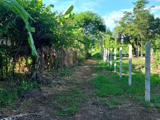 For sale land in Mueang Nong Khai, Nong Khai
