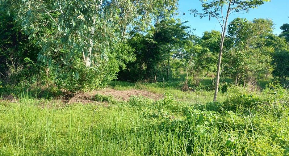 For sale land in Mueang Nong Khai, Nong Khai