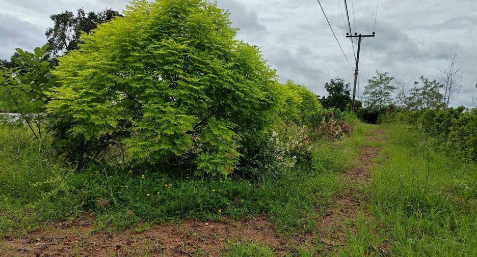 Terreno en venta en Dan Khun Thot, Nakhon Ratchasima