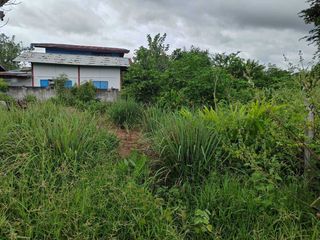 For sale land in Dan Khun Thot, Nakhon Ratchasima
