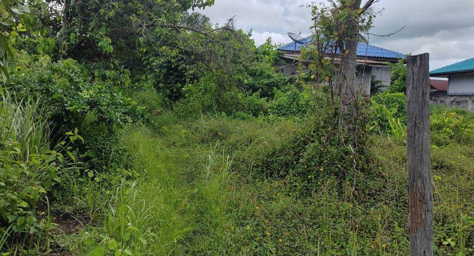 Terreno en venta en Dan Khun Thot, Nakhon Ratchasima