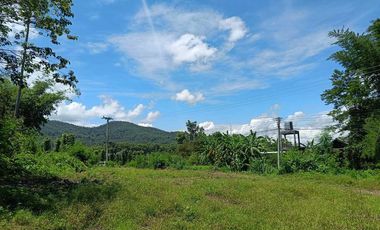 For sale land in Pai, Mae Hong Son