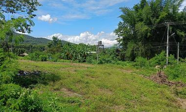 For sale land in Pai, Mae Hong Son