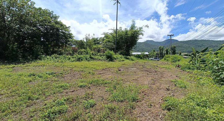 For sale land in Pai, Mae Hong Son