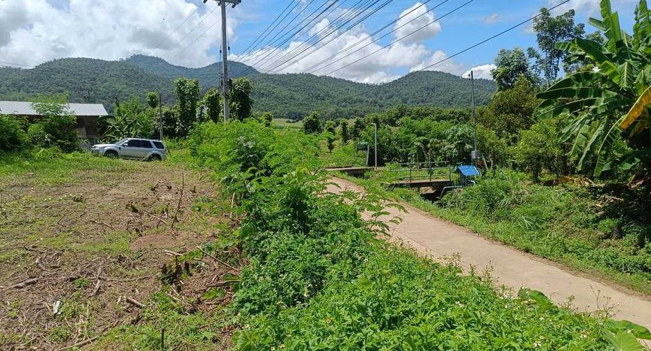 For sale land in Pai, Mae Hong Son