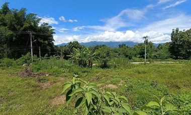 For sale land in Pai, Mae Hong Son