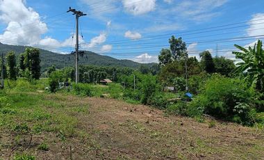 For sale land in Pai, Mae Hong Son