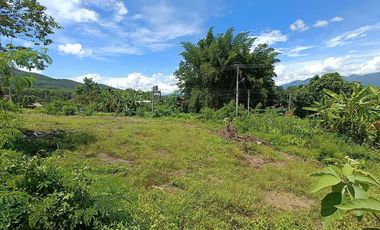 For sale land in Pai, Mae Hong Son