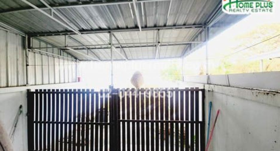 For sale 4 bedrooms retail Space in Mueang Phetchabun, Phetchabun
