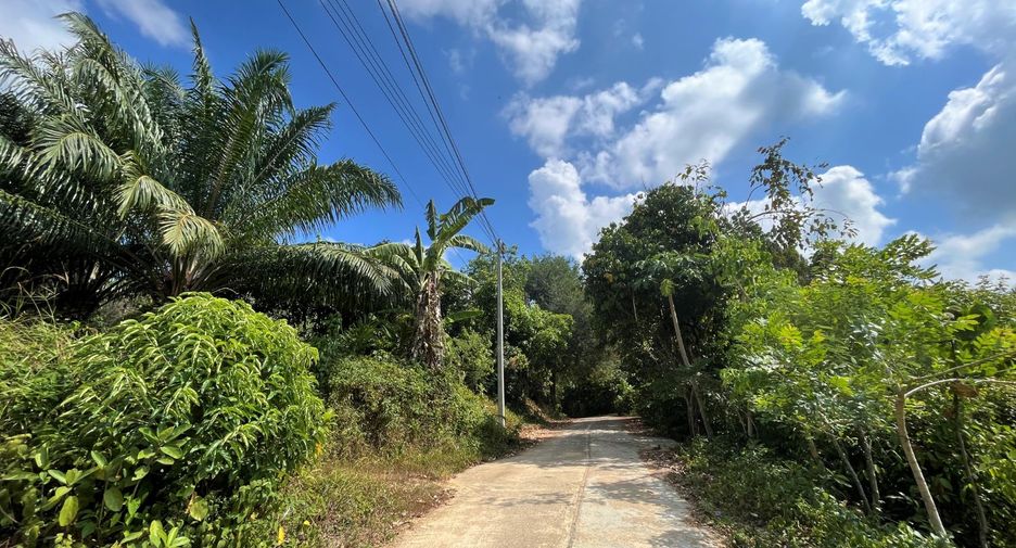 Grundstück zum Kauf in Takua Thung, Phang Nga