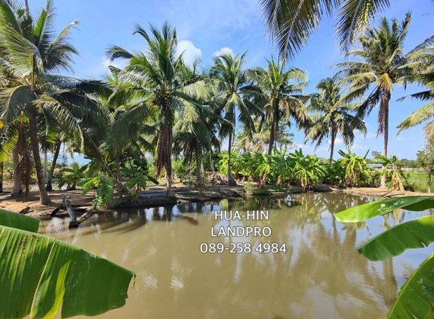 For Sale Land 4 008 sqm in Cha Am Phetchaburi Thailand Hipflat