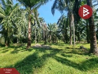 For sale land in Bang Saphan Noi, Prachuap Khiri Khan