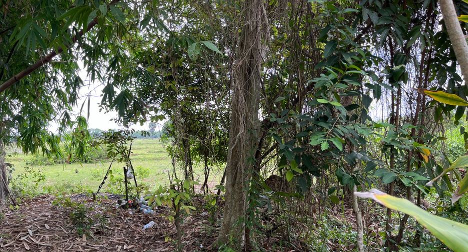 ขาย ที่ดิน ใน เมืองกระบี่, กระบี่