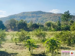 For sale land in Mueang Phetchabun, Phetchabun