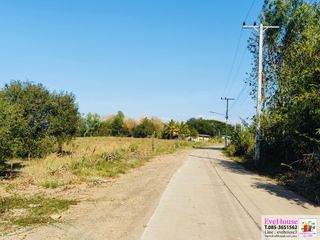For sale land in Mueang Phetchabun, Phetchabun