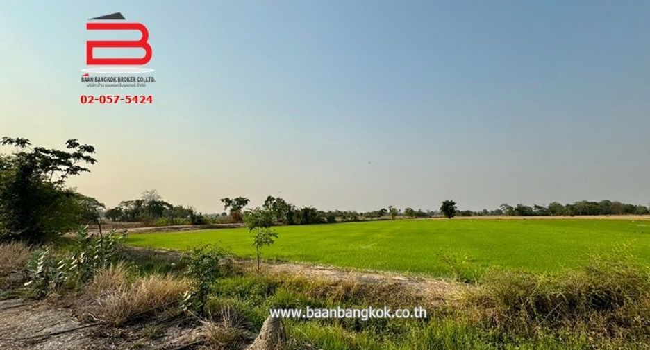 ขาย ที่ดิน ใน หนองหญ้าไซ, สุพรรณบุรี