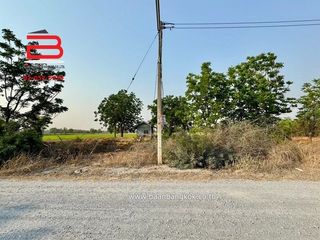 出售 土地 在 Nong Ya Sai, Suphan Buri