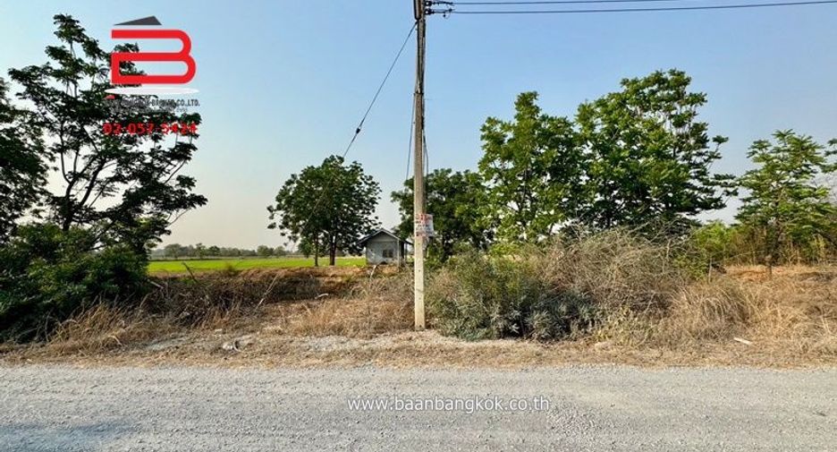 ขาย ที่ดิน ใน หนองหญ้าไซ, สุพรรณบุรี