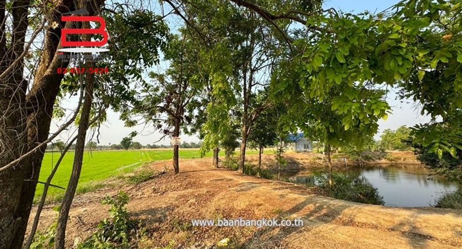 ขาย ที่ดิน ใน หนองหญ้าไซ, สุพรรณบุรี