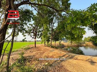 出售 土地 在 Nong Ya Sai, Suphan Buri